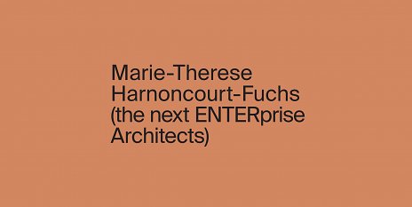 Marie-Therese Harnoncourt, The Next Enterprise Architects
