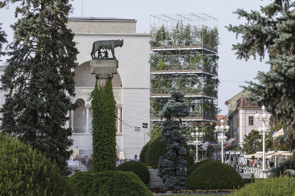 Plants for Timisoara